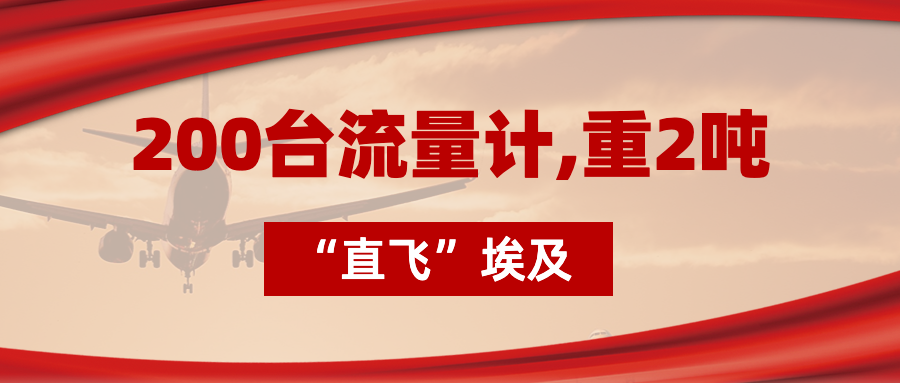 200臺流量計“直飛”埃及，重2噸，運(yùn)費(fèi)10萬